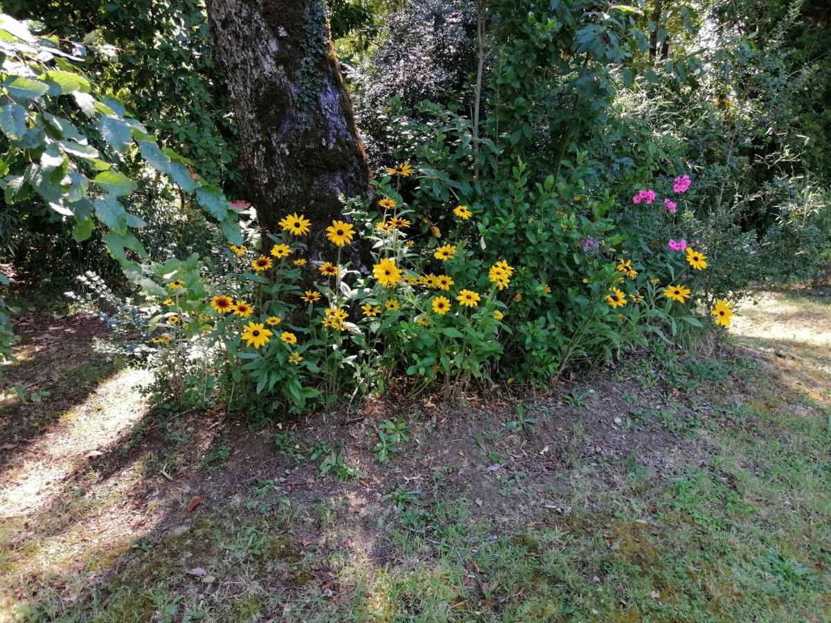 Cabanas Los Canelos Hermosa Granja En ปูกอน ภายนอก รูปภาพ