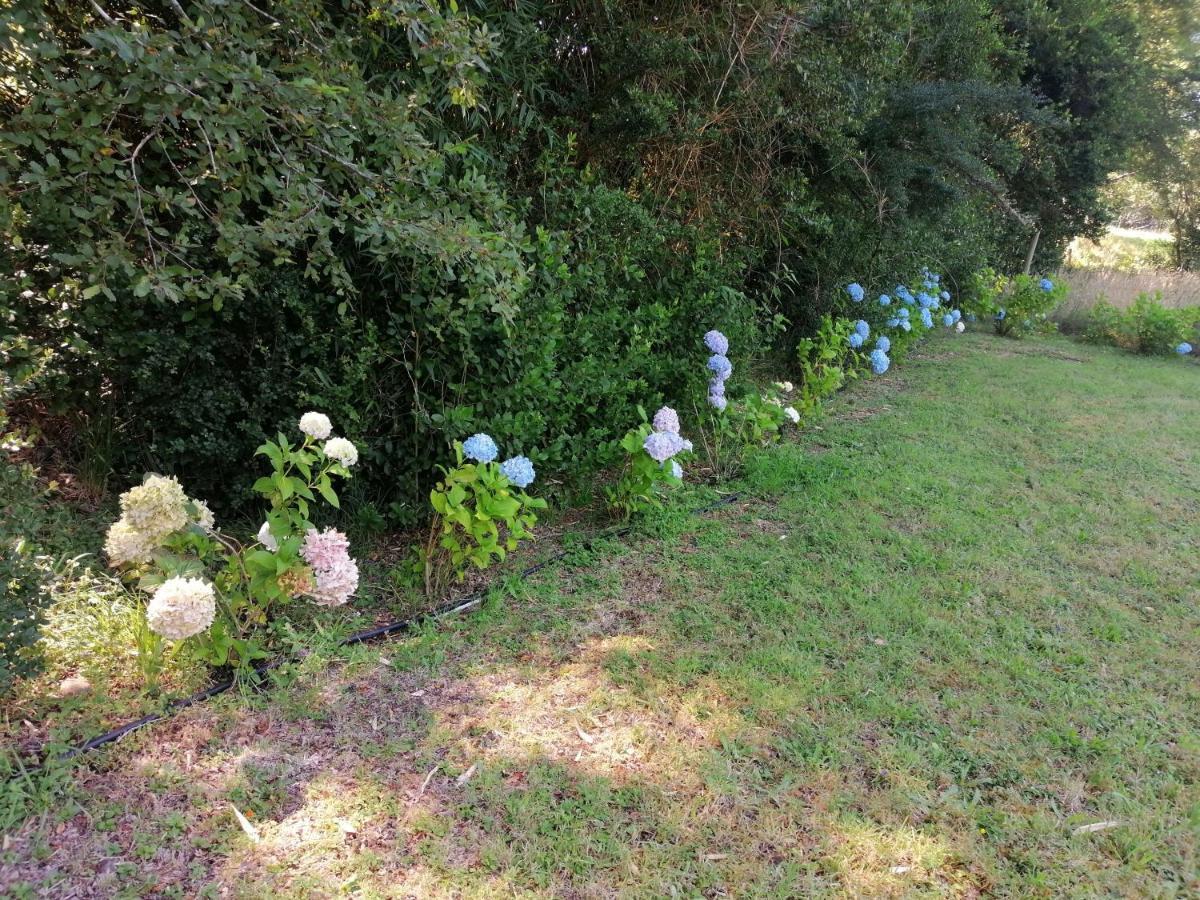 Cabanas Los Canelos Hermosa Granja En ปูกอน ภายนอก รูปภาพ
