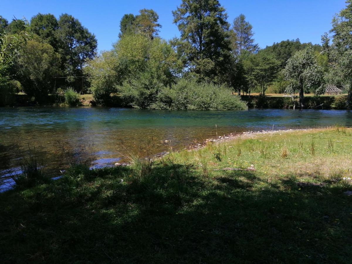 Cabanas Los Canelos Hermosa Granja En ปูกอน ภายนอก รูปภาพ