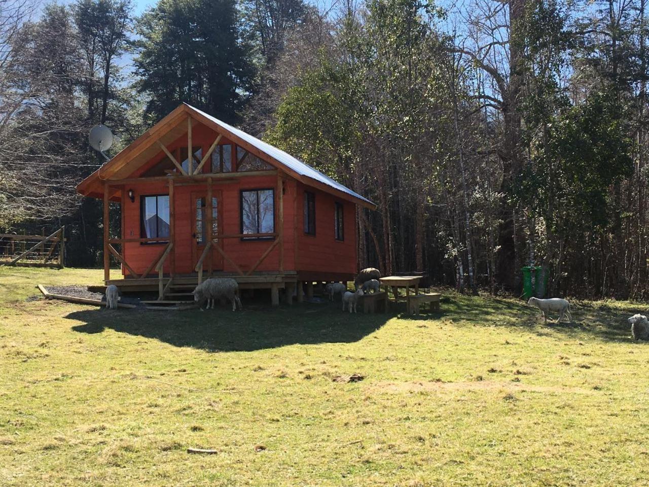Cabanas Los Canelos Hermosa Granja En ปูกอน ภายนอก รูปภาพ
